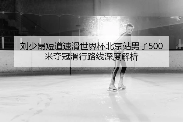 liu-shao-ang-duan-dao-su-hua-shi-jie-bei-bei-jing-zhan-nan-zi-mi-duo-guan-hua-xing-lu-xian-shen-du-jie-xi-2-317.jpg